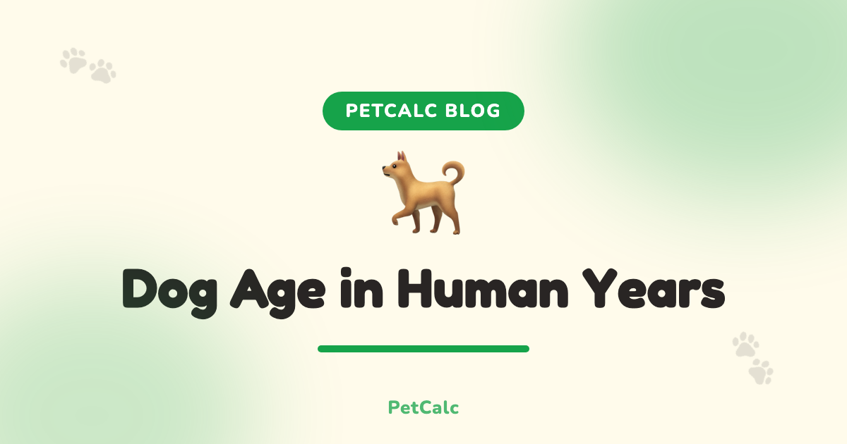 How to Calculate Your Dog's Age in Human Years cover