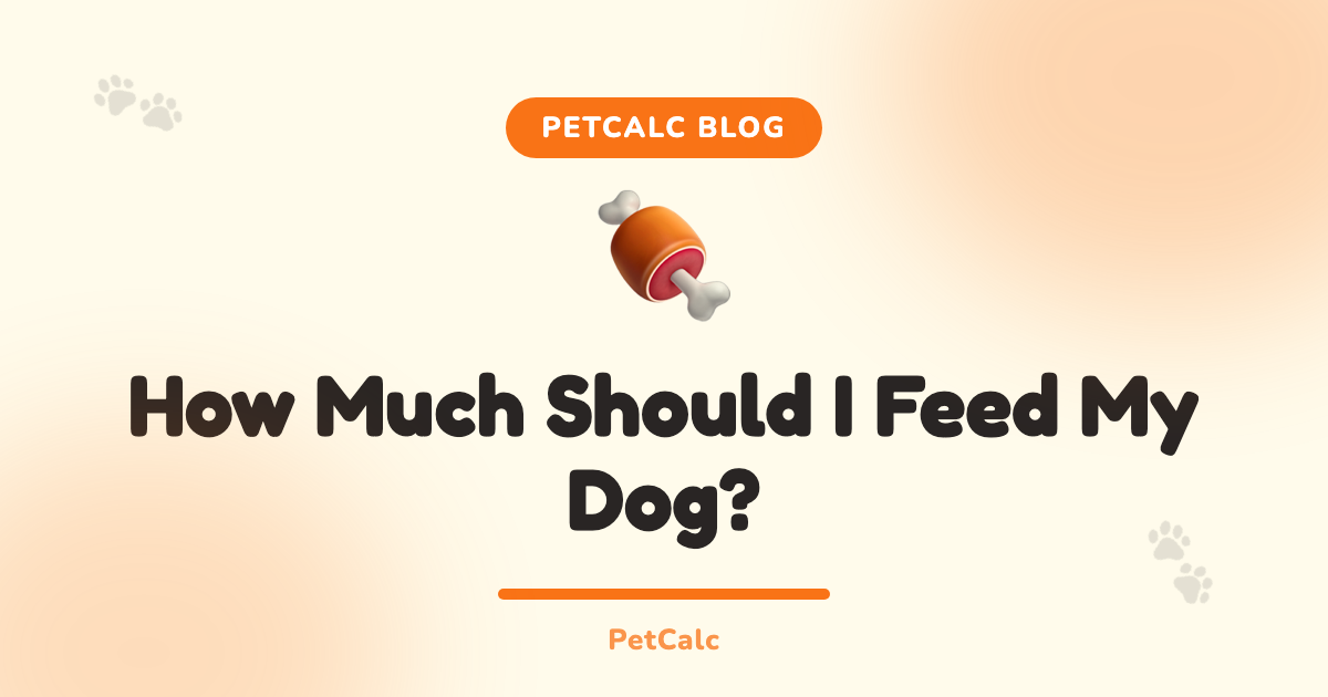 How Much Should I Feed My Dog? A Complete Portion Guide cover
