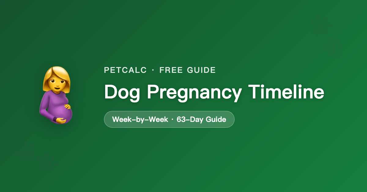 Dog Pregnancy Timeline: Week-by-Week Guide cover
