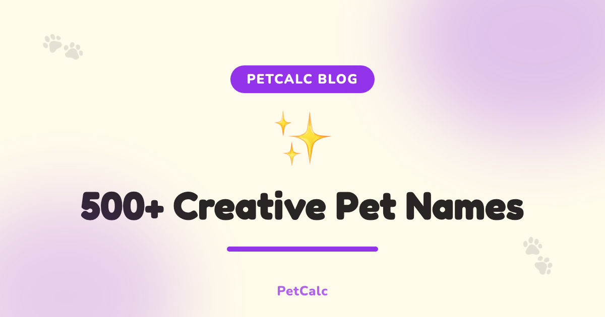 500+ Creative Pet Names for Dogs & Cats cover